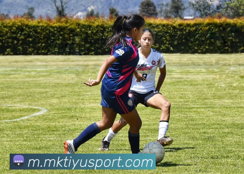 MK体育APP 封面图