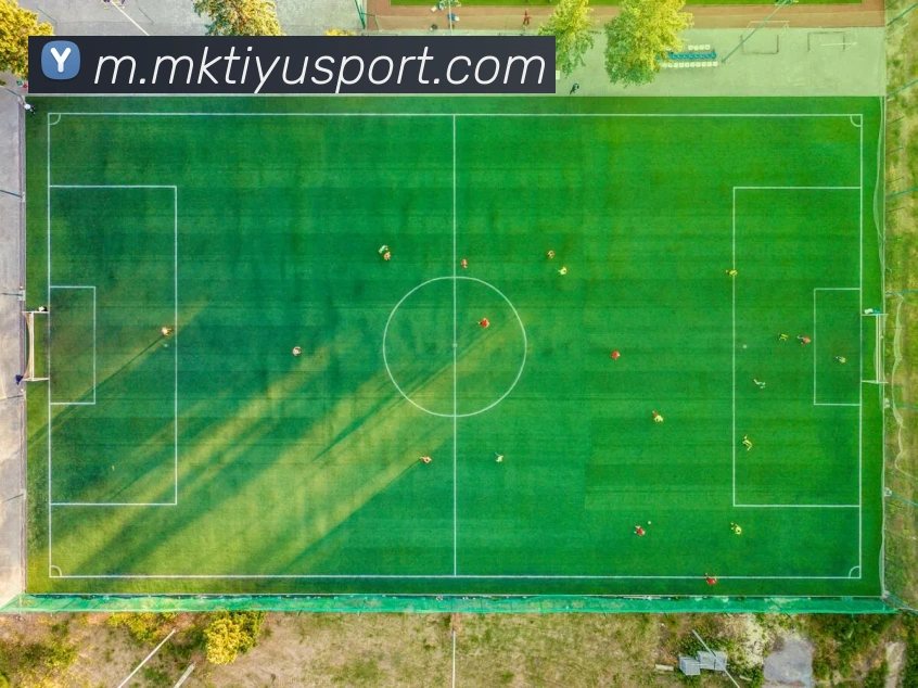 数据防护可视化